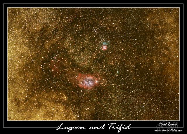 Lagood Trifid