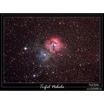 Trifid Nebula