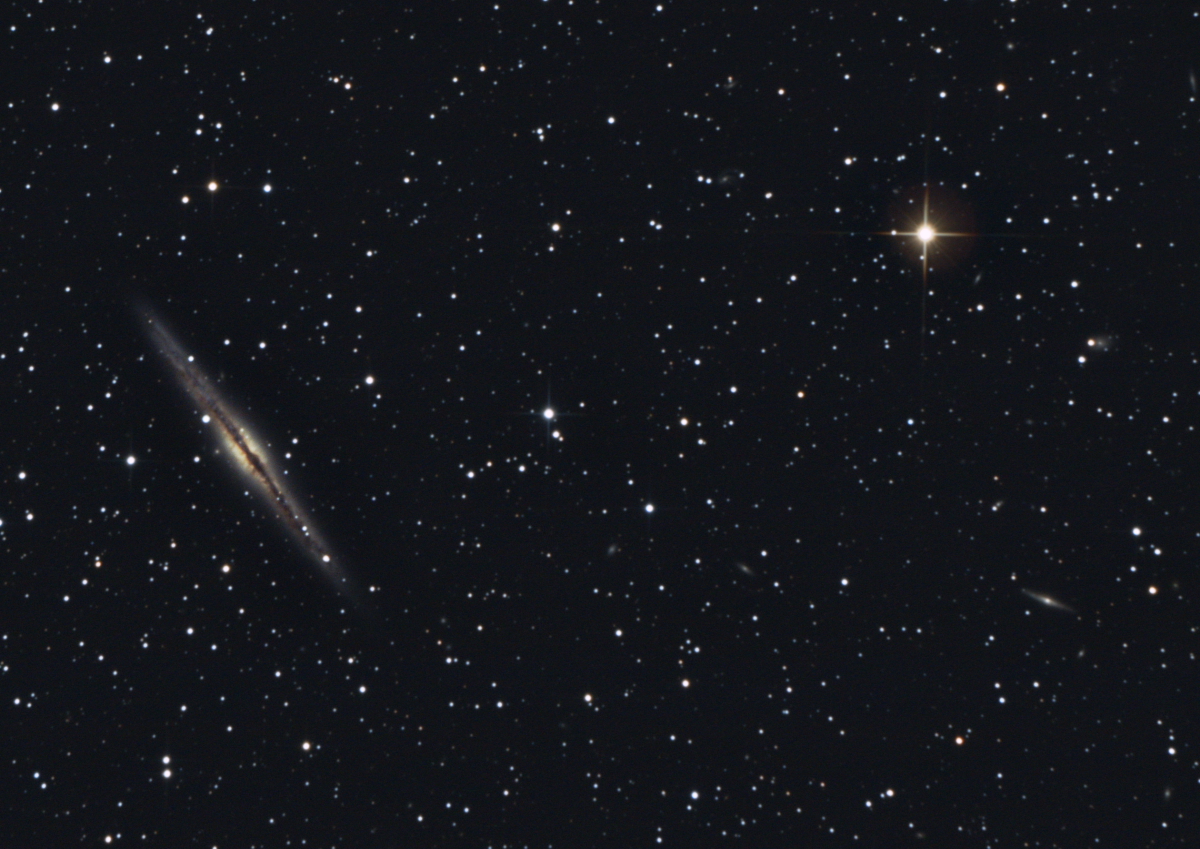 NGC 891