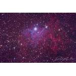 The Flaming Star Nebula