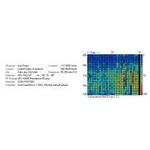 201004 Radio Meteor Obs Chart SLC UT 