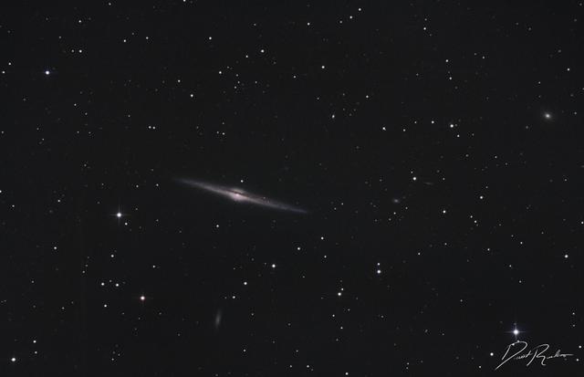 NGC 4565