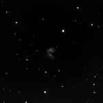 NGC4038-39 Caldwell60-61 via GRASS NM Scope 1