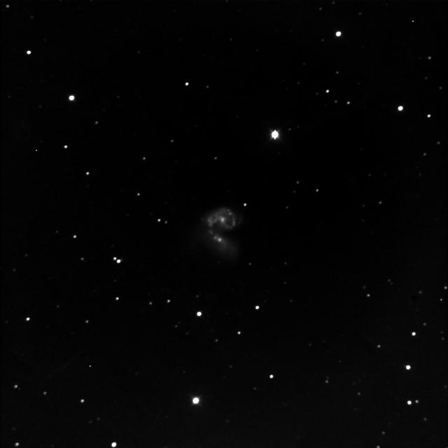 NGC4038-39 Caldwell60-61 via GRASS NM Scope 1