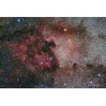 Pelican and North America Nebulae