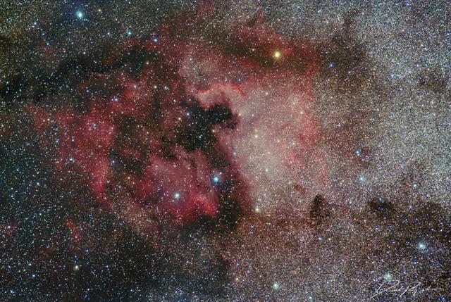 Pelican and North America Nebulae