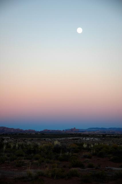 Hunter's Moon at the Windows