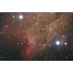 The Pelican Nebula in Cygnus