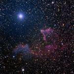 IC63 and IC59 - near Gamma Cas