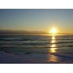 DSCN0414