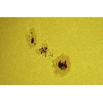 2011 09 24th Sunspot 1302