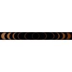 Annular eclipse montage