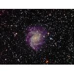Group5--Don-Colton-NGC-6946-Fireworks-Galaxyw