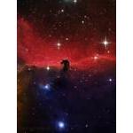 Horse Head Nebula