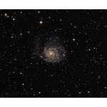 Pinwheel Galaxie M101