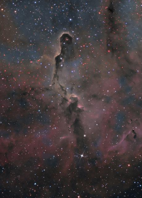 IC1396 Elephant T Final 11 (Close Field)