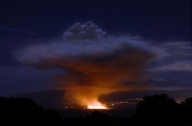 Moonlit Cane Fire