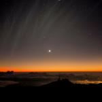 Synchronic Banding of Comet McNaught