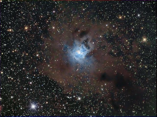 NGC7023 - The Iris Nebula