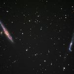 Whale, Pup, and Crowbar Galaxies