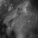 Pelican Nebula in Hydrogen Alpha