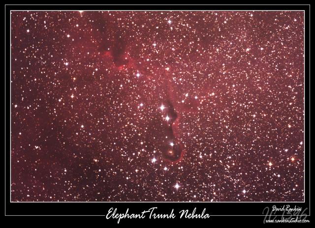 Elephant Trunk Nebula