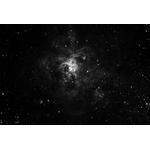 NGC2070 Tarantula Neb
