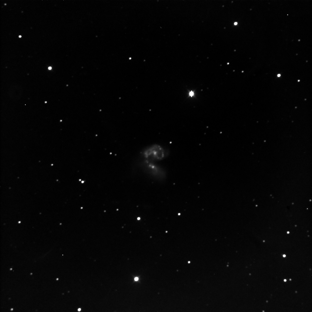 NGC4038-39 Caldwell60-61 via GRASS NM Scope 1