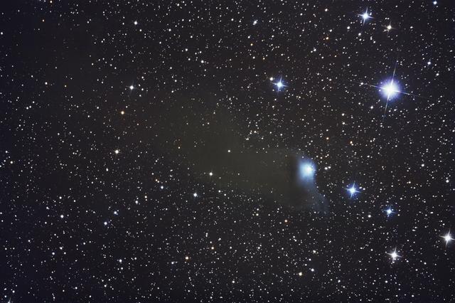 vdB 152, Reflection and Dark Nebulae in Cepheus