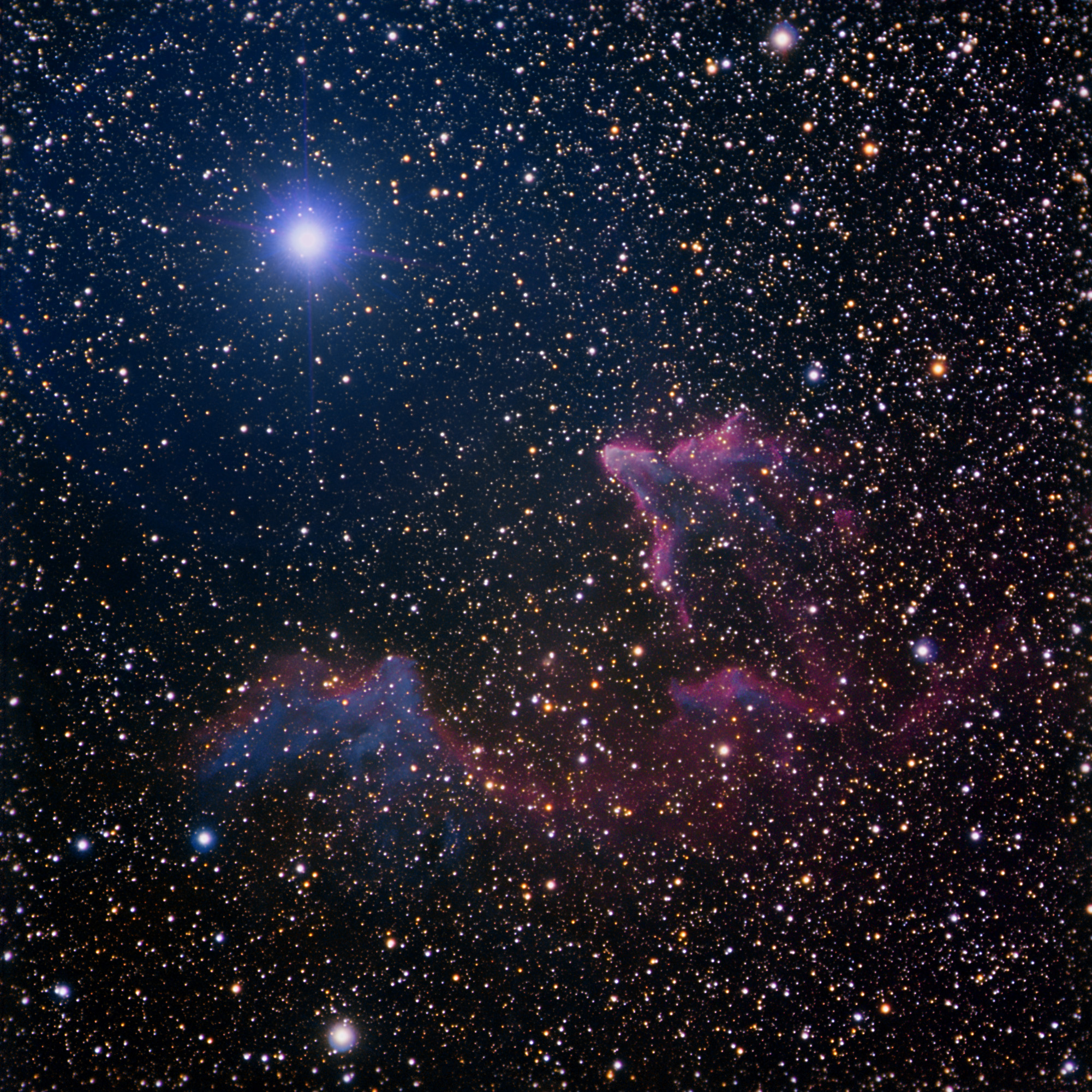 IC63 and IC59 - near Gamma Cas