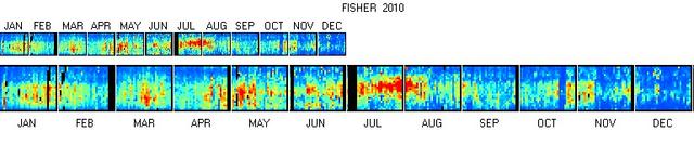Summary Radio Meteor Observing Report for 2010 Fisher SLC Station