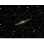 NGC-891-Don-Colton-Bryce