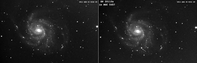 Supernova 2011fe in M-101