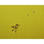 2012 03 05th Sunspot 1429