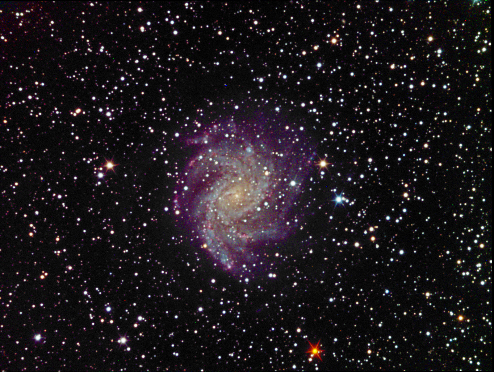 Group5--Don-Colton-NGC-6946-Fireworks-Galaxyw