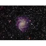 Group5--Don-Colton-NGC-6946-Fireworks-Galaxyw