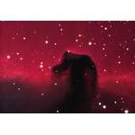 Horsehead4