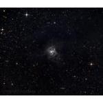 NGC 7032 Iris Nebula