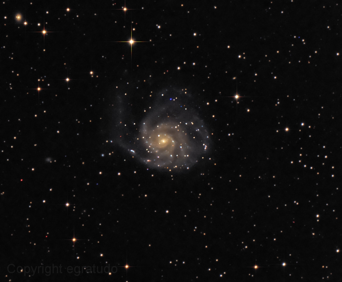 Pinwheel Galaxie M101