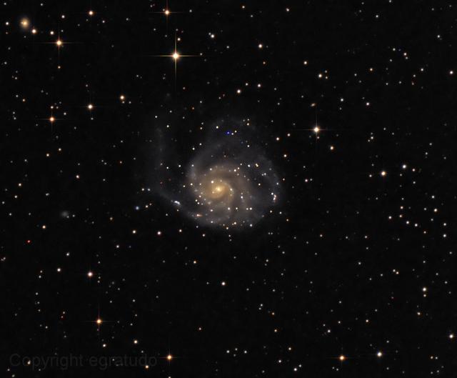 Pinwheel Galaxie M101
