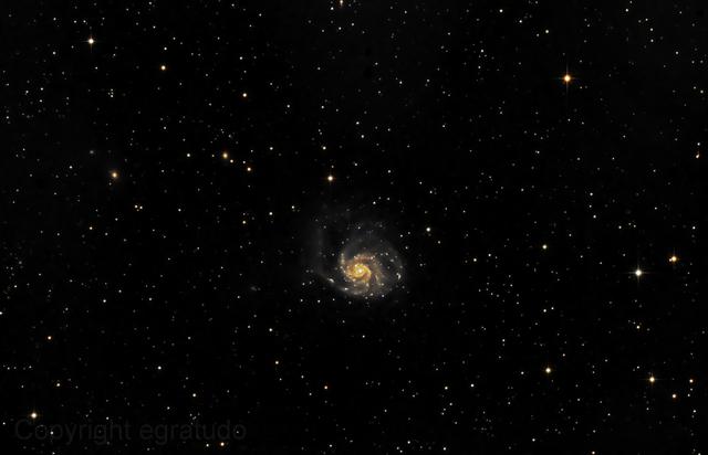 Pinwheel galaxie